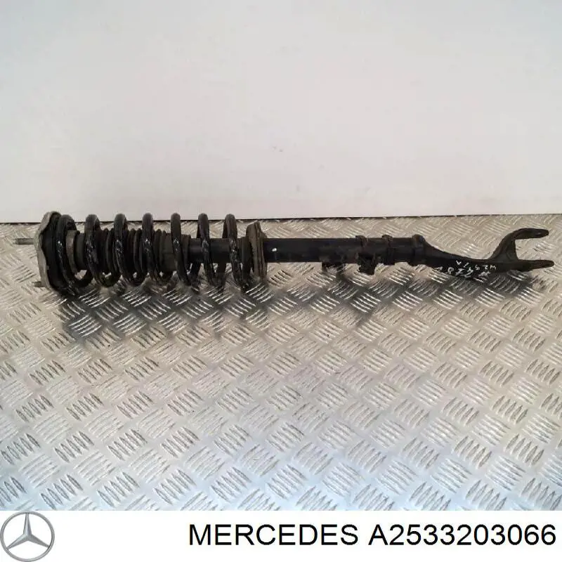 Купити A2533203066 Mercedes 