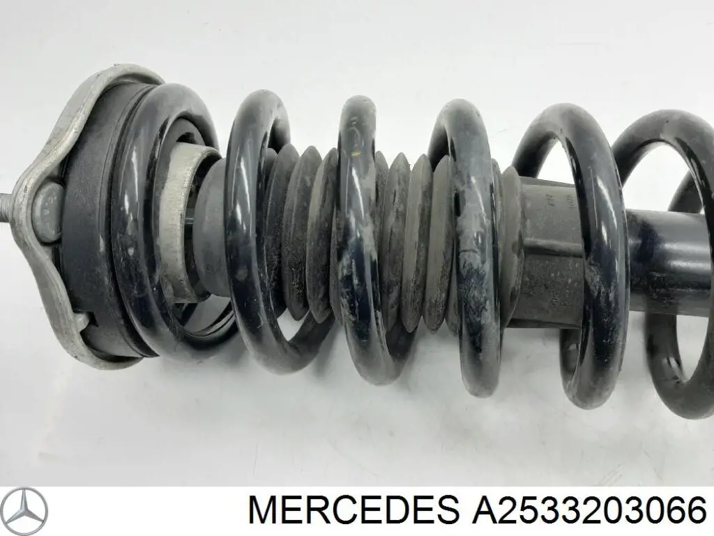  A2533203066 Mercedes