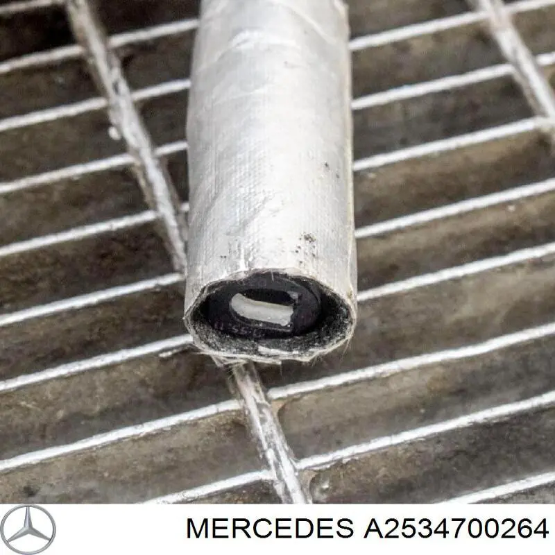  Mercedes A2534700264