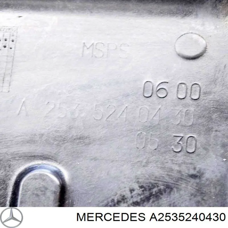 Захист двигуна задній BF0136160008 Bapmic