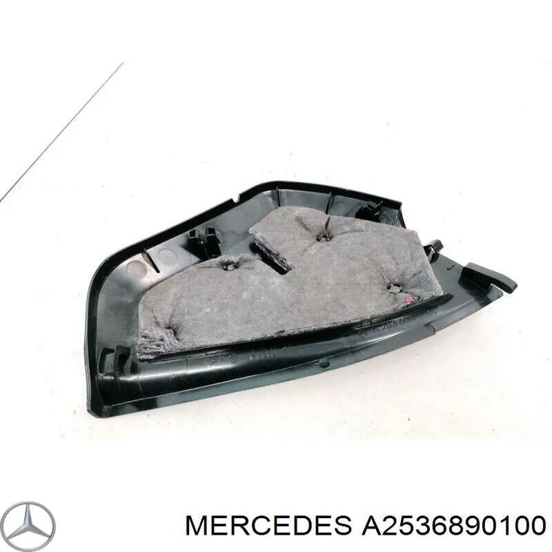  A2536890100 Mercedes