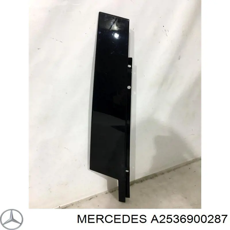 A2536900287 Mercedes 