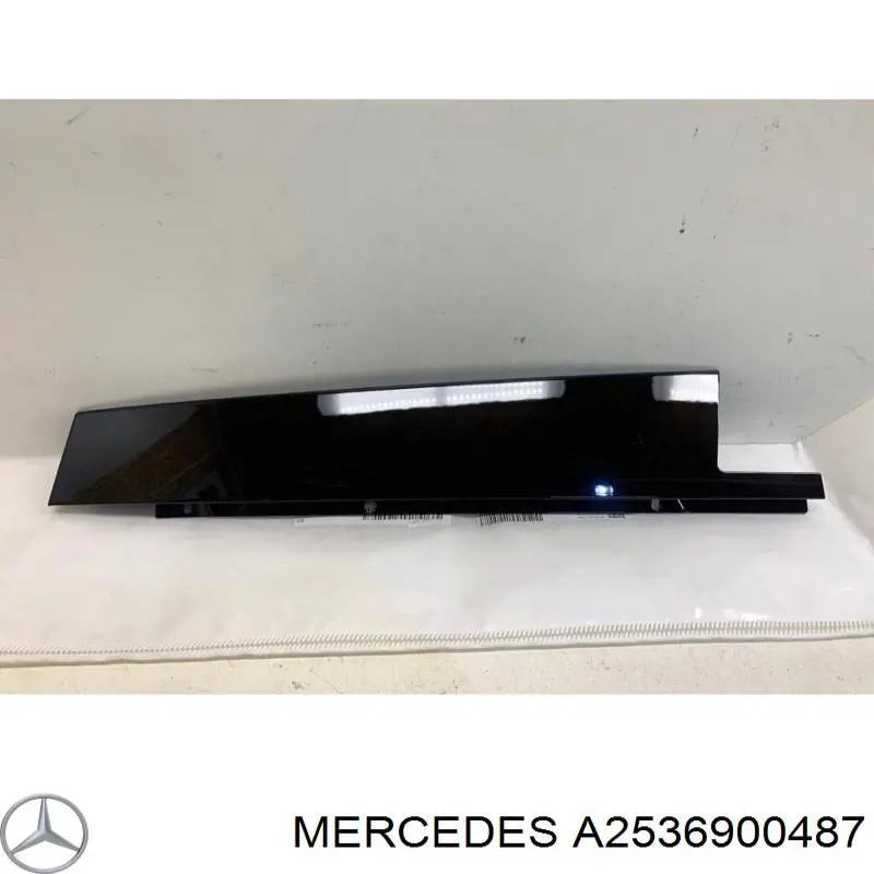 A2536900487 Mercedes 