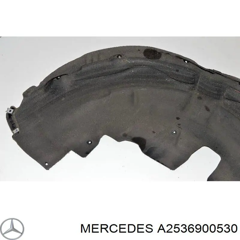 BF0115800024 Bapmic 
