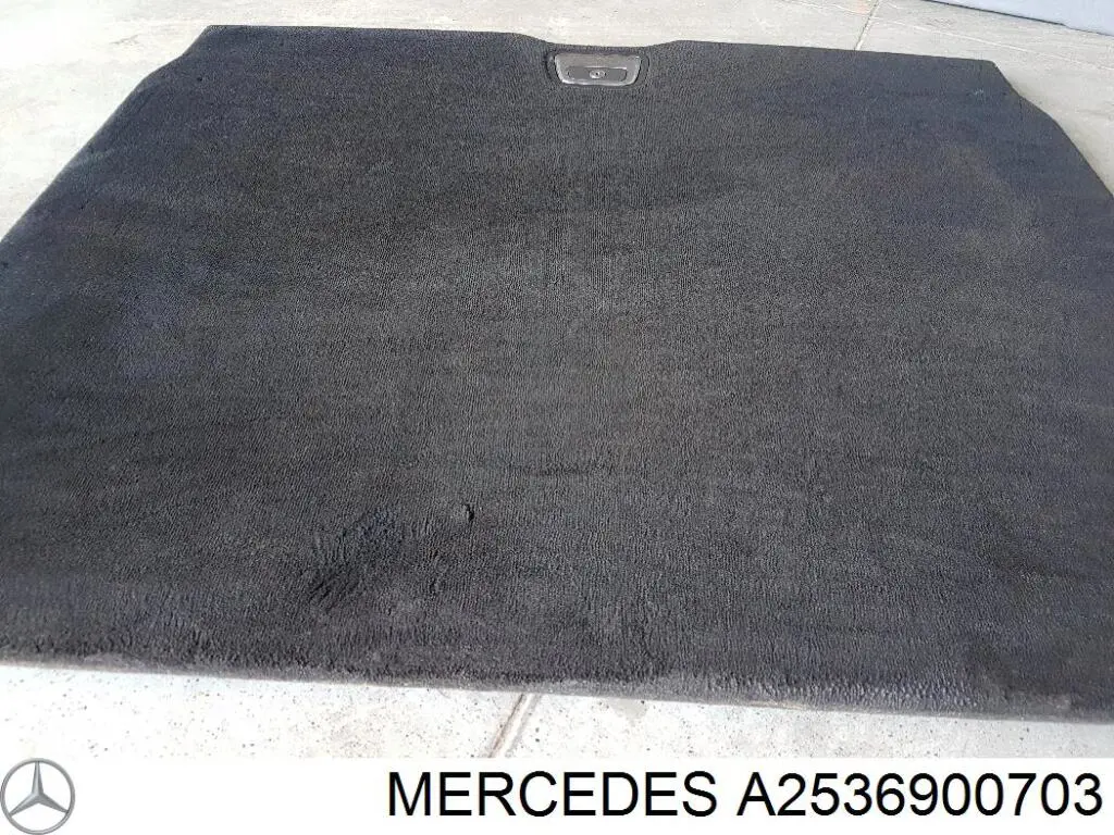 A2536900703 Mercedes 