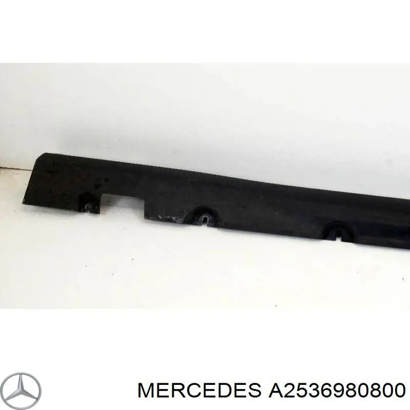  A2536980800 Mercedes