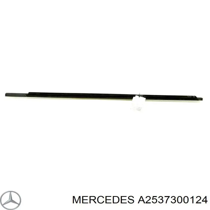 A2537300124 Mercedes 