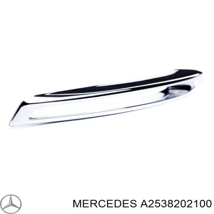  A2538202100 Mercedes