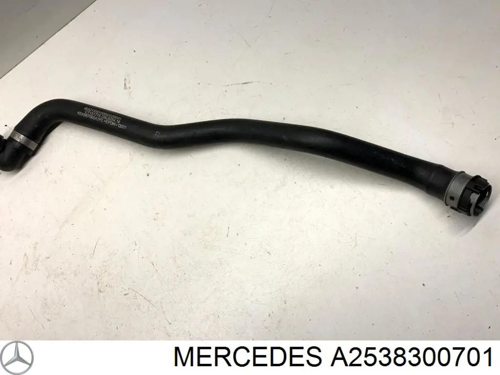  A2538300701 Mercedes