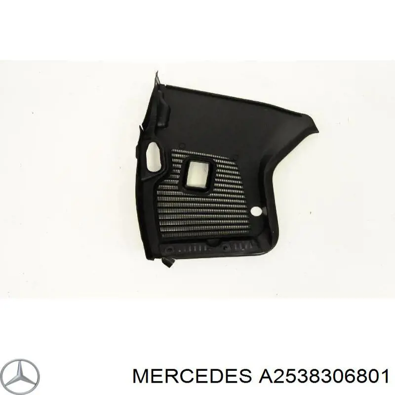 A2538306801 Mercedes 
