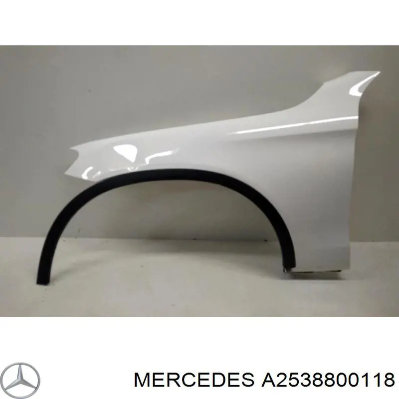 2538800118 Mercedes крило переднє ліве