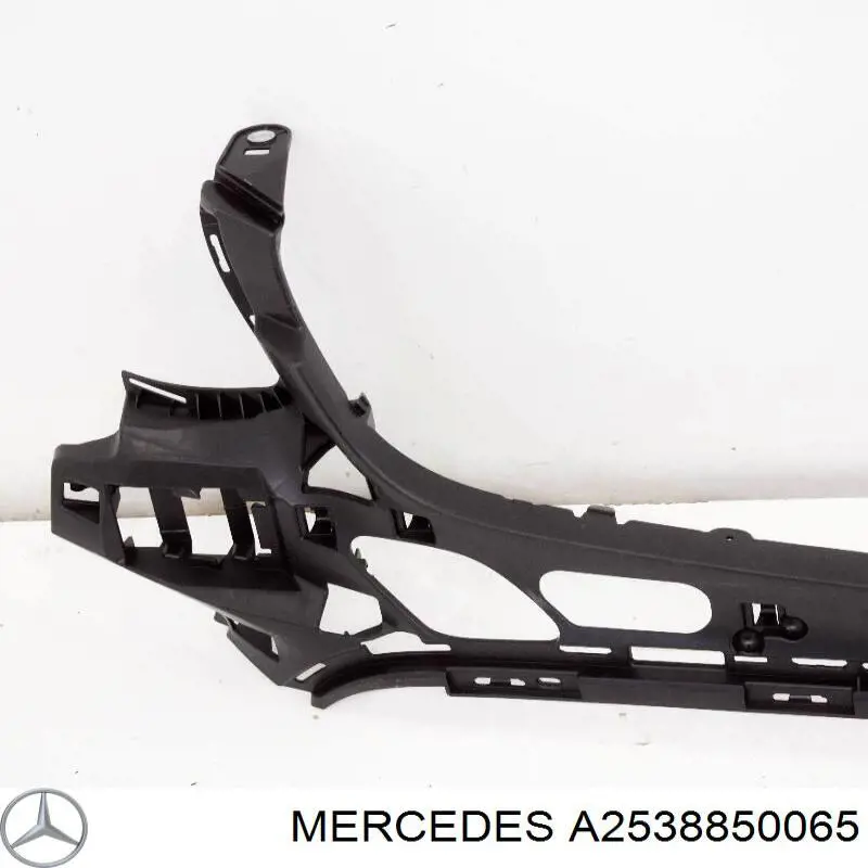 2538850065 Mercedes 