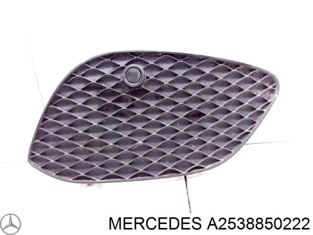 A2538850222 Mercedes Оправа протитуманки