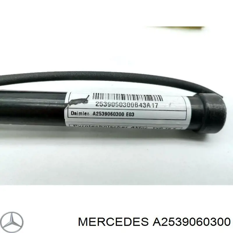 Решітка переднього бампера, центральна Mercedes A2539060300 ціна, від 56.43 USD