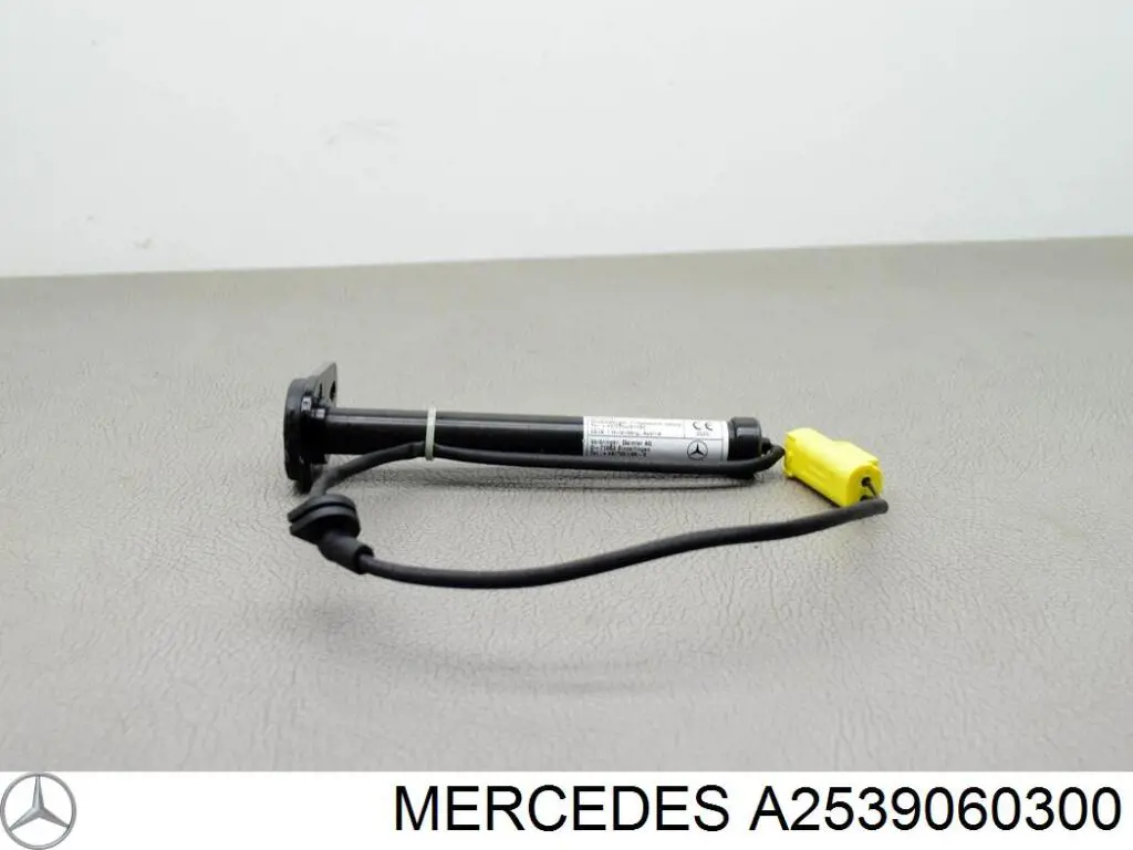 Купити A2539060300 Mercedes Решітка переднього бампера, центральна