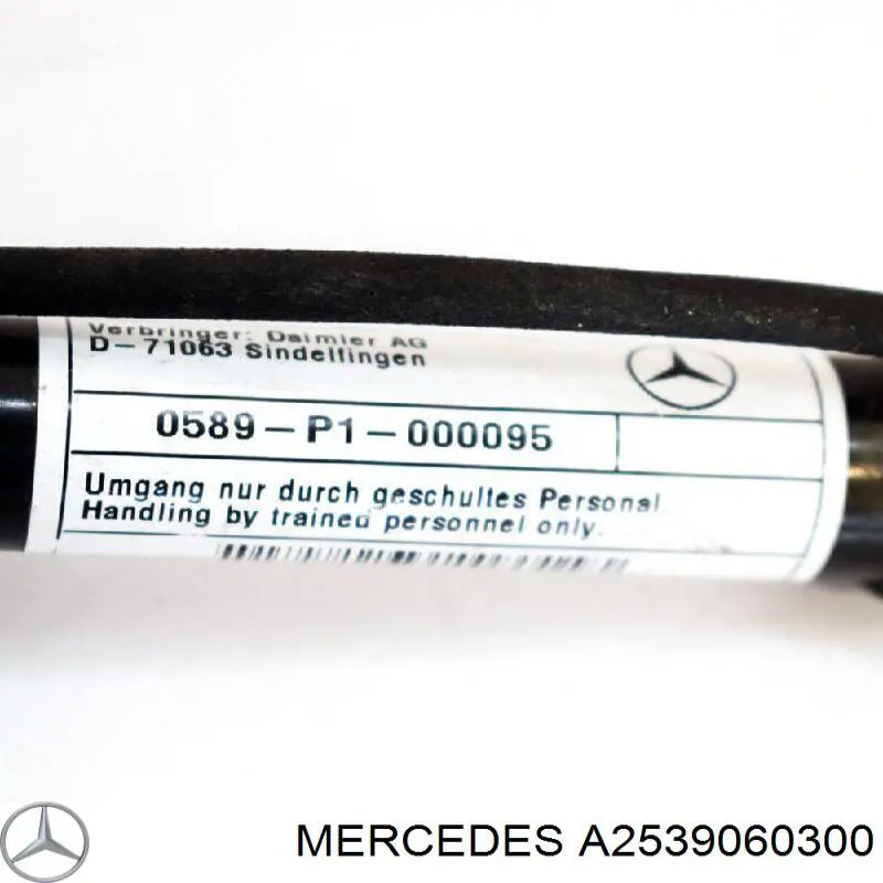 Решітка переднього бампера, центральна A2539060300 Mercedes