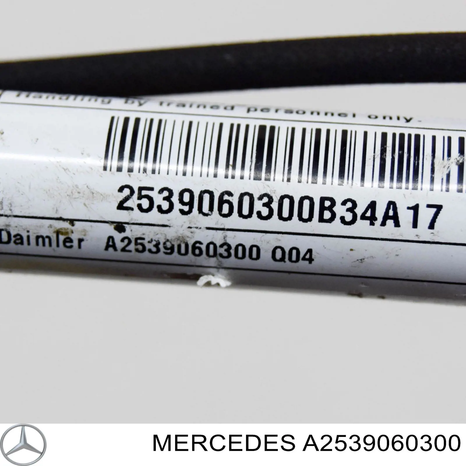 A2539060300 Mercedes Решітка переднього бампера, центральна