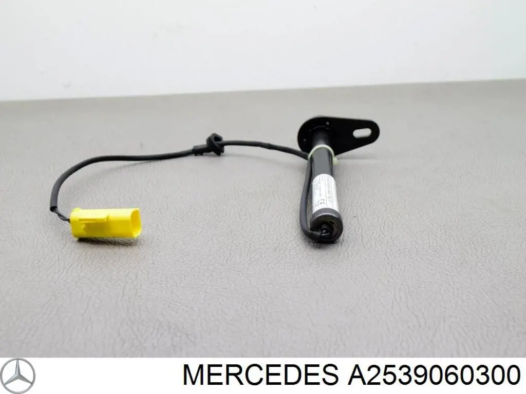 A2539060300 Mercedes Решітка переднього бампера, центральна