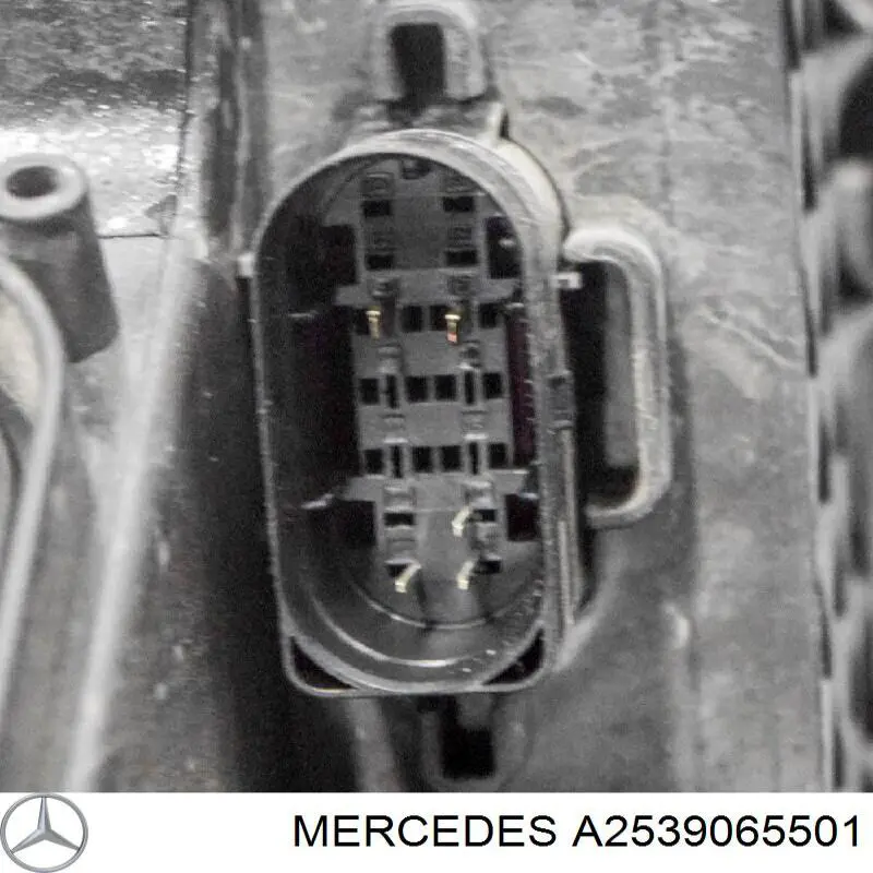  A2539065501 Mercedes