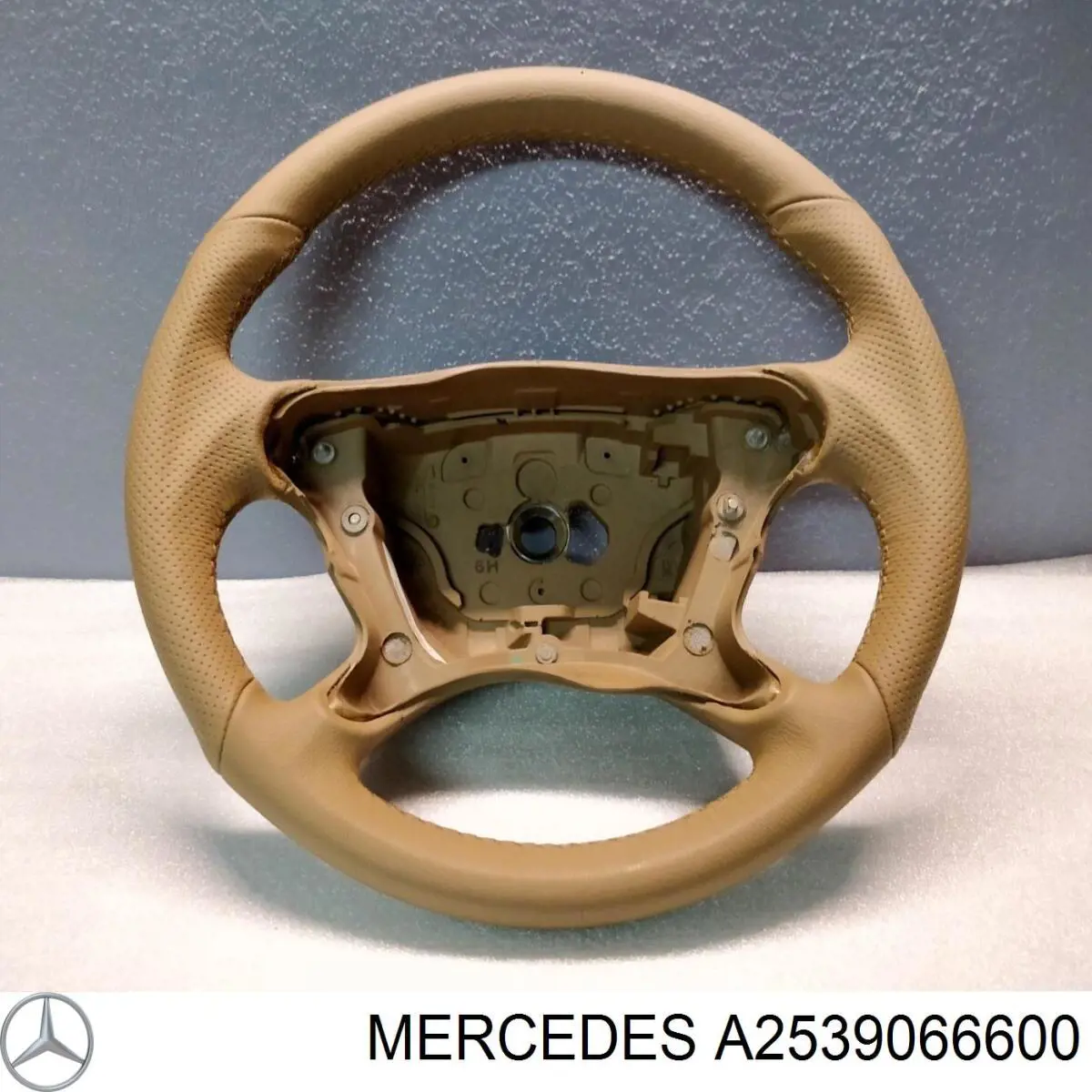  A2539066600 Mercedes