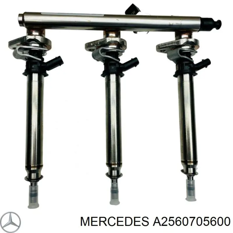 A2560705600 Mercedes форсунка вприску палива