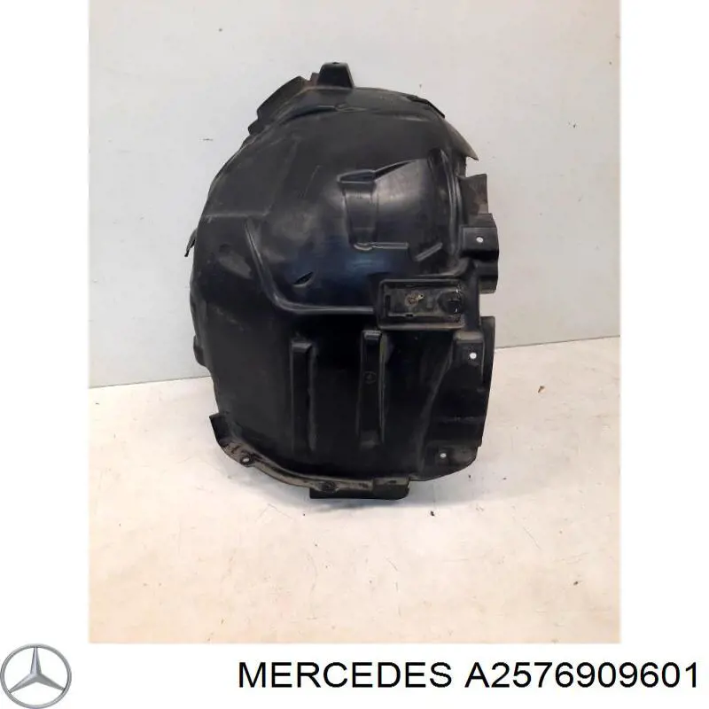 Купити A2576909601 Mercedes 