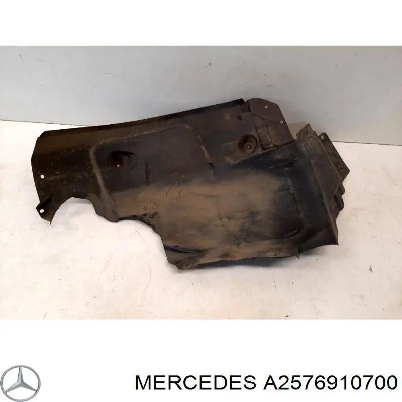 Купити A2576910700 Mercedes 