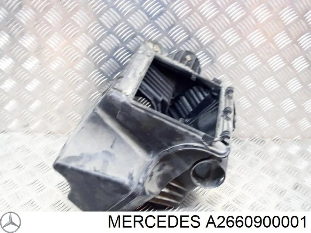 A2660900001 Mercedes 