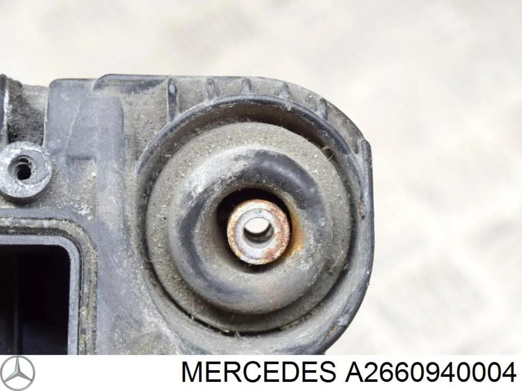 Повітряний фільтр A2660940004 Mercedes