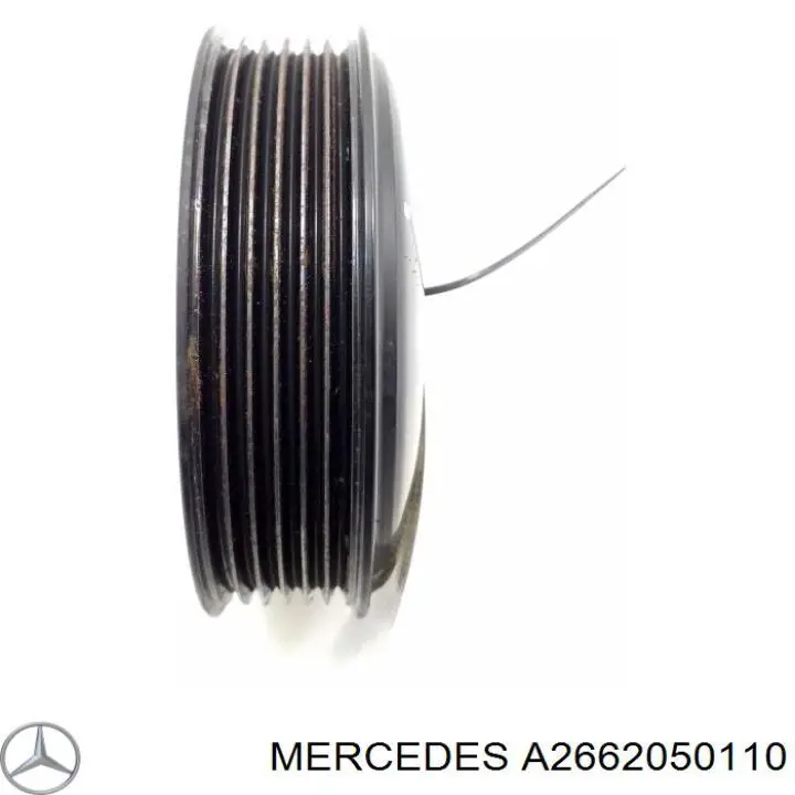 A2662050110 Mercedes 