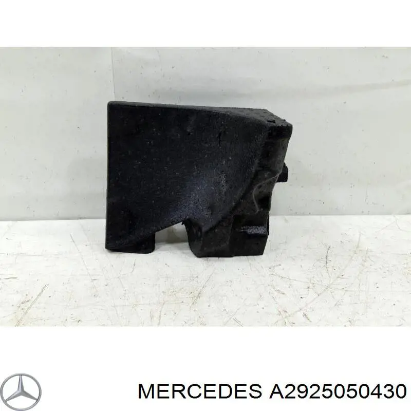 A2925050430 Mercedes повітропровід радіатора