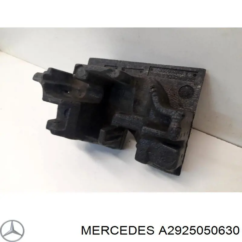  2925050630 Mercedes