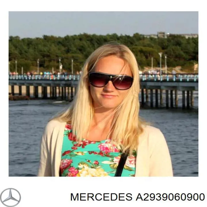  Mercedes A2939060900 ціна, від 466.94 USD