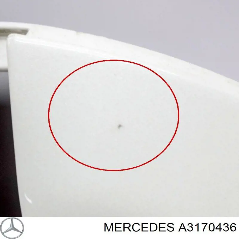  Mercedes A3170436 ціна, від 14.06 USD