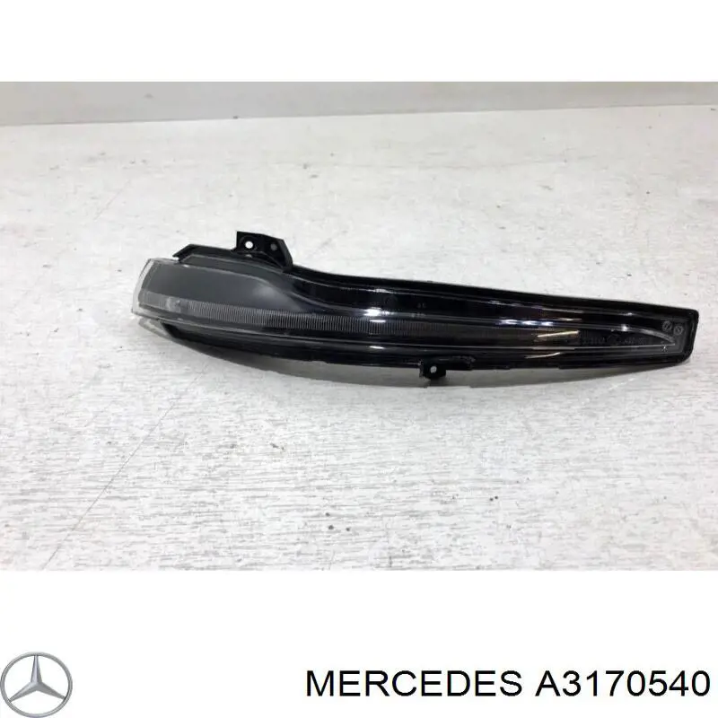 A3170540 Mercedes 