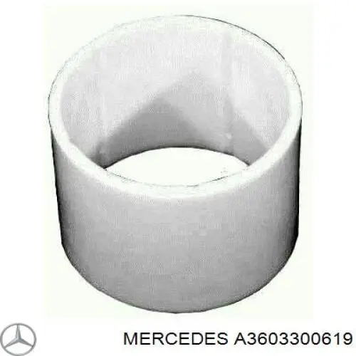 A3603300619 Mercedes Ремкомплект шкворня поворотного кулака