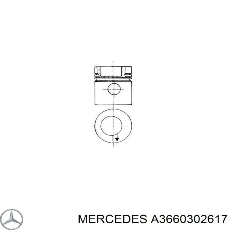 Поршень в комплекті на 1 циліндр, STD 3660302617 Mercedes