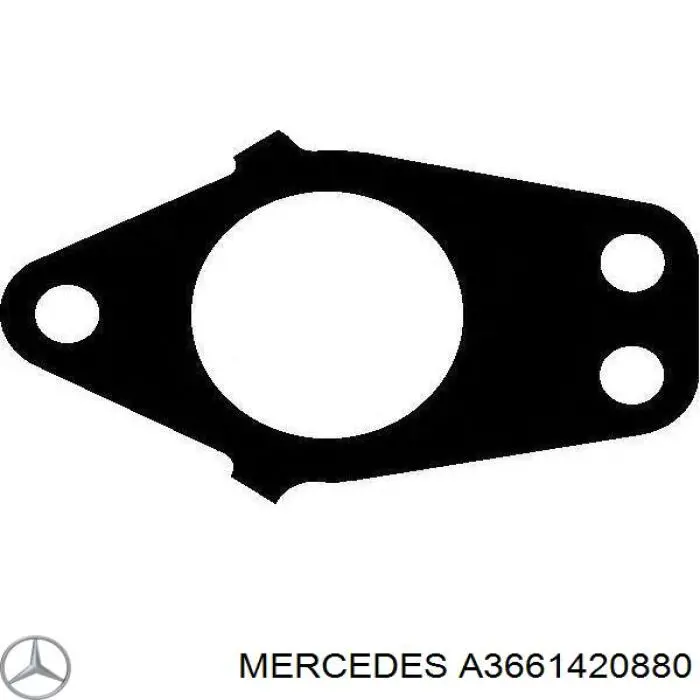 Прокладка випускного колектора Mercedes A3661420880 ціна, від 1.35 USD
