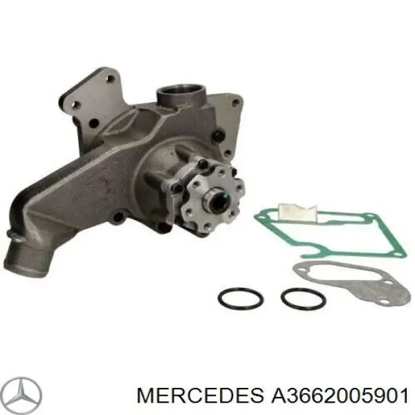 Купити A3662005901 Mercedes Насос охолоджуючої рідини