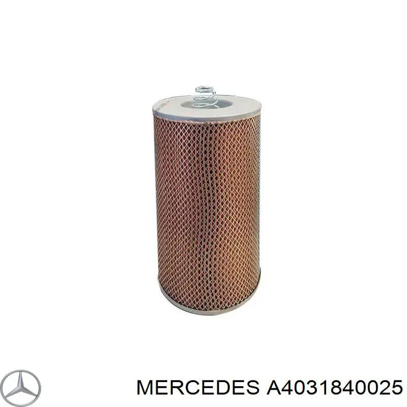 Масляний фільтр A4031840025 Mercedes