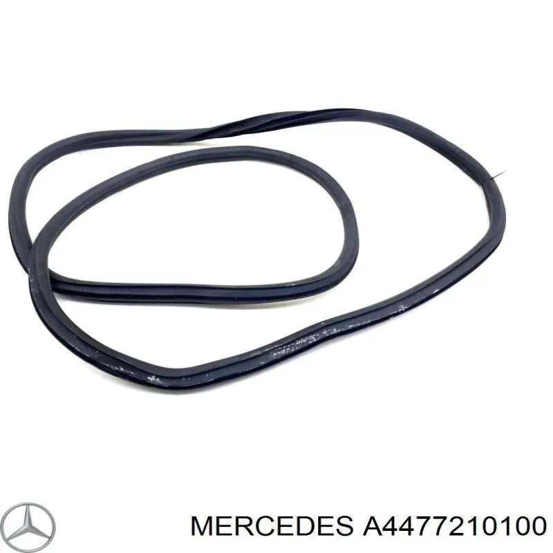 A4477210600 Mercedes 