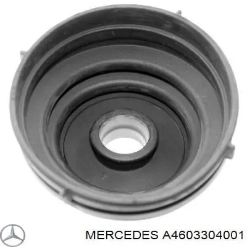 A4603307201 Mercedes Граната зовнішня