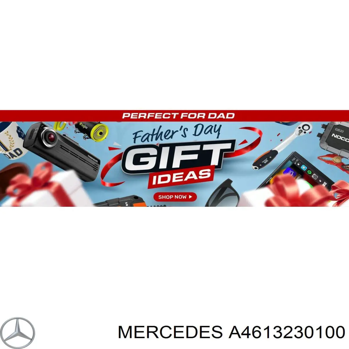 A4613230100 Mercedes Стійка передня