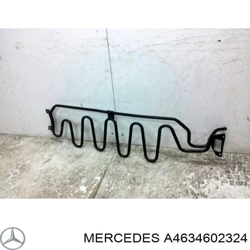 A4634602324 Mercedes 