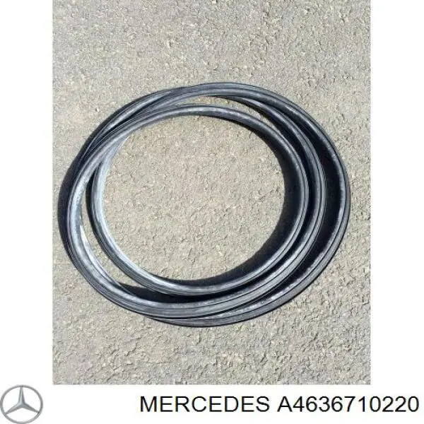 Купити A4636710220 Mercedes Ущільнювач лобового скла