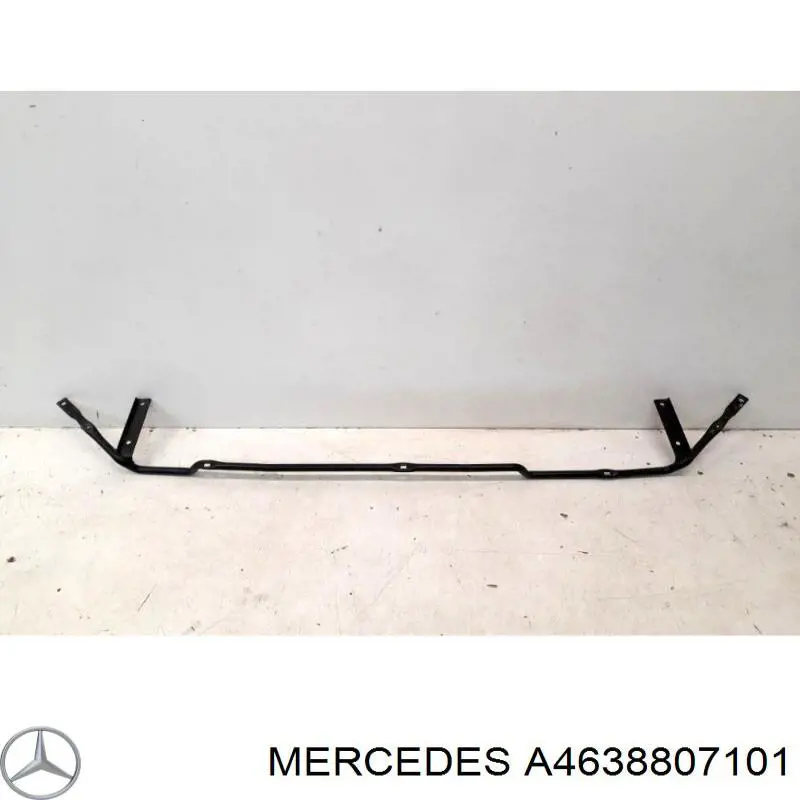 A4638807101 Mercedes 