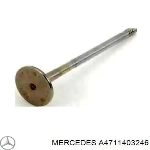  4711403246 Mercedes