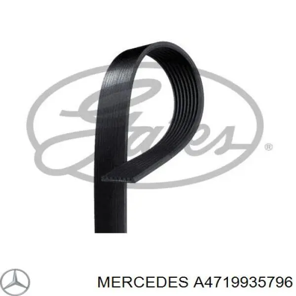  Mercedes A4719935796 ціна, від 149.72 USD