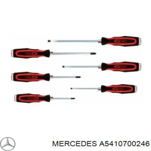 A5410700246 Mercedes Паливний перепускний клапан (болт банджо)