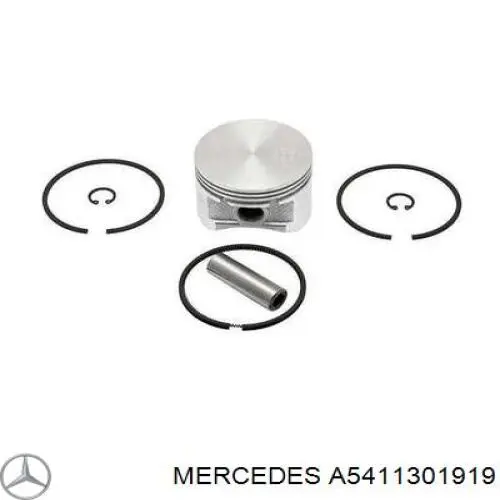  A5411301919 Mercedes
